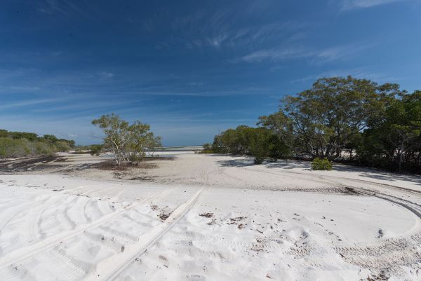 Fraser Island National Park Camping Ground - Accommodation Find