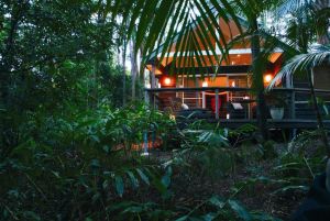Songbirds Rainforest Retreat - Accommodation Find